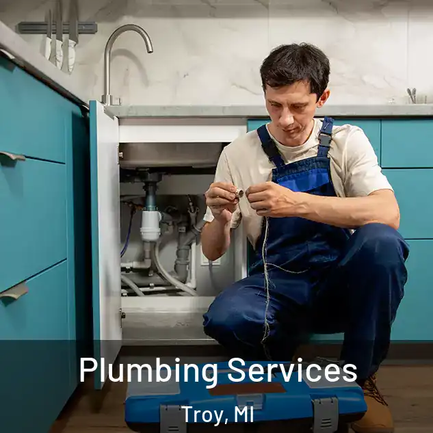  Plumbing Services Troy, MI