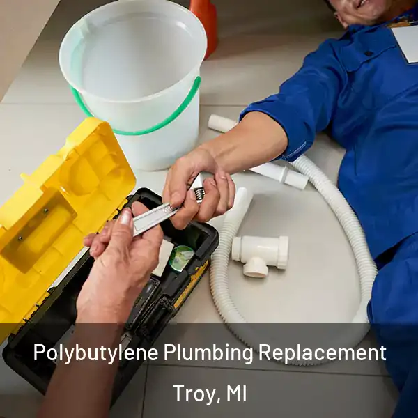  Polybutylene Plumbing Replacement Troy, MI